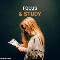 focus study