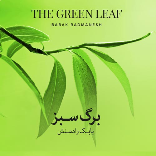 Babak Radmanesh - The Green Leaf (Persian Traditional Music)
