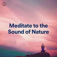 Meditate to the Sound of Nature