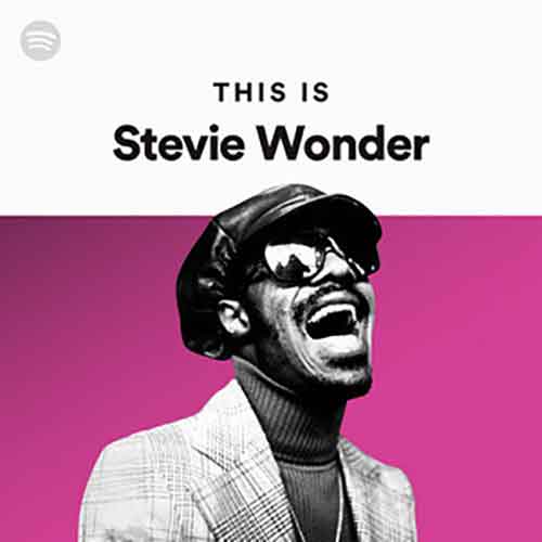 This Is Stevie Wonder