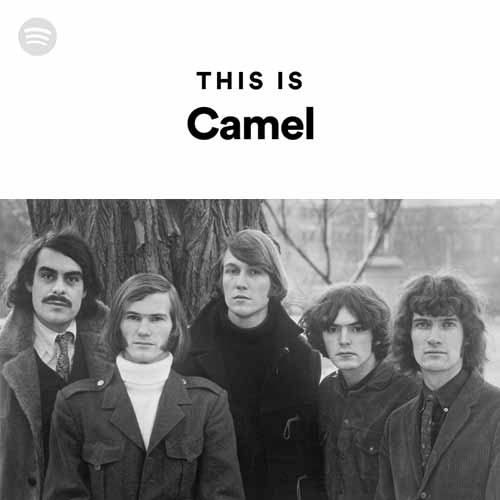 This Is Camel