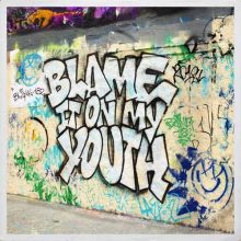 blink-182 Blame It On My Youth