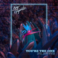 Big Gigantic, Nevve You’re The One