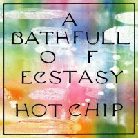 Hot Chip A Bath Full of Ecstasy