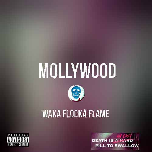 Waka Flocka Flame Mollywood