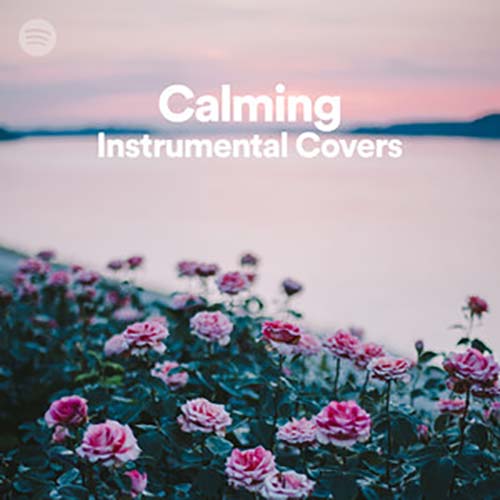 Calming Instrumental Covers