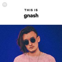 This Is gnash