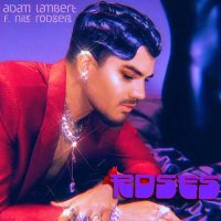 Adam Lambert, Nile Rodgers Roses