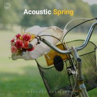 Acoustic Spring