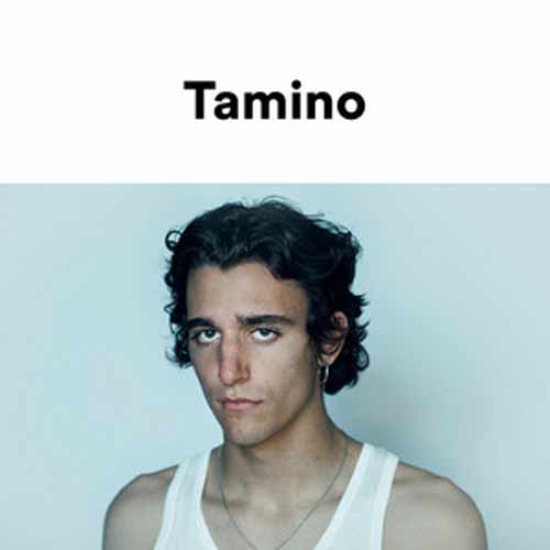 This is Tamino