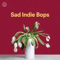 Sad Indie Bops Playlist
